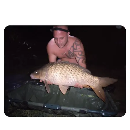 Vidam Part Vendeghaz Gyomaendrőd