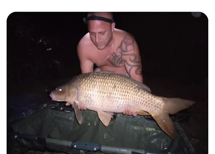 Vidam Part Vendeghaz Gyomaendrőd